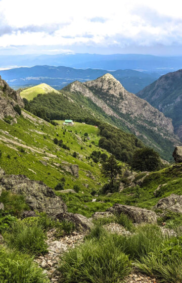 Туризъм