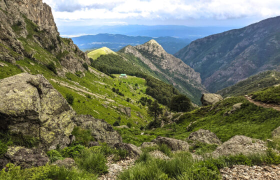 Туризъм