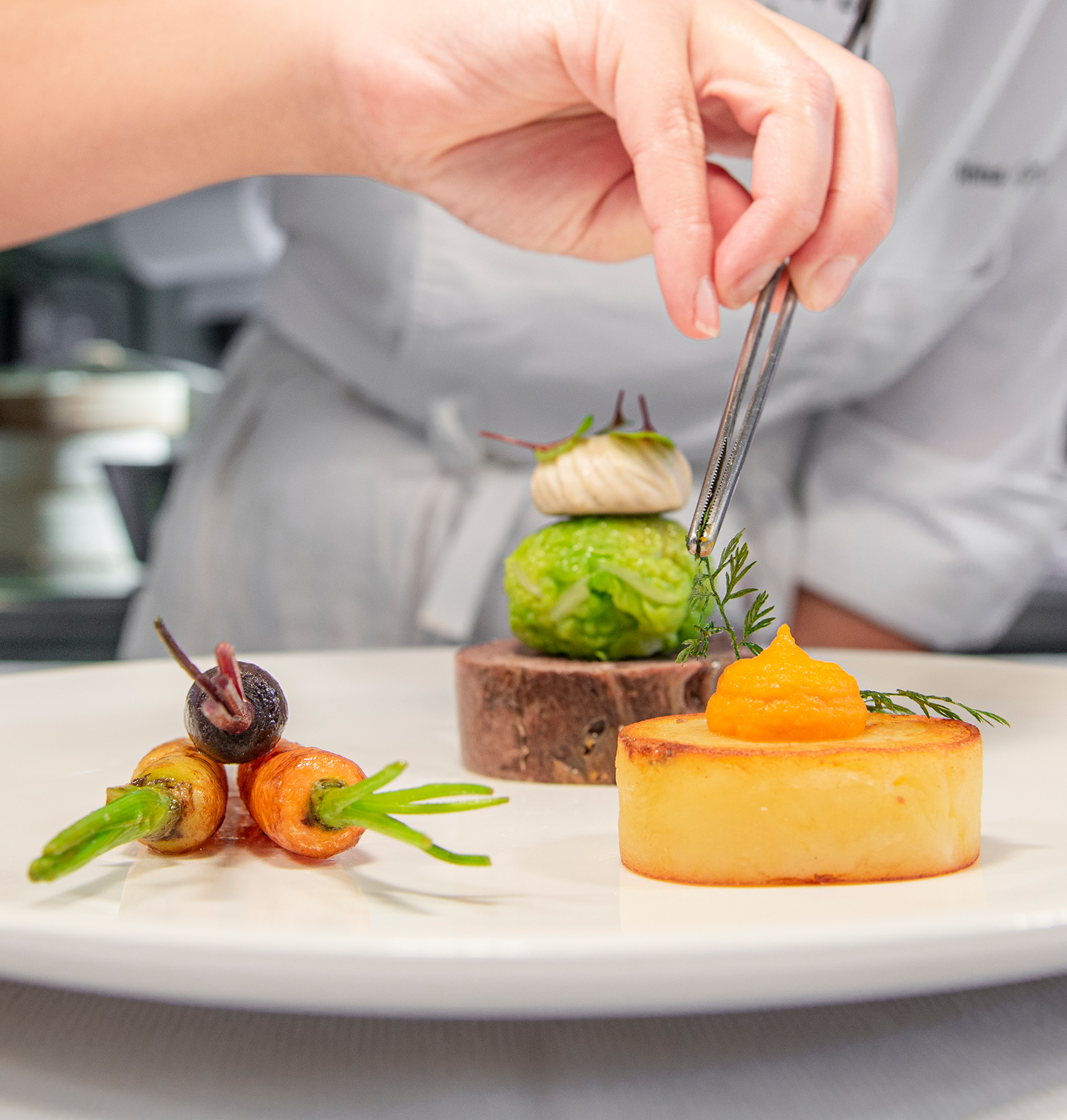 French and Balkan Cuisine